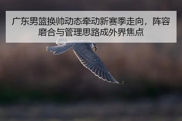 guang-dong-nan-lan-huan-shuai-dong-tai-qian-dong-xin-sai-ji-zou-xiang-zhen-rong-mo-he-yu-guan-li-si-lu-cheng-wai-jie-3-304.jpg