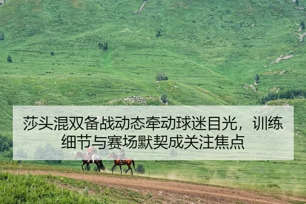 莎头混双备战动态牵动球迷目光，训练细节与赛场默契成关注焦点